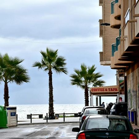 Estudio Gato Del Mar Torrevieja Eksteriør billede